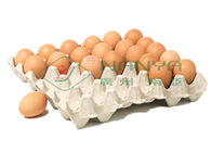 Lini Produksi Baki Telur 100kw