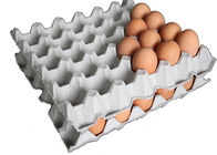Biodegradable Pulp Molded Products Baki Telur Sekali Pakai dengan 30 Rongga
