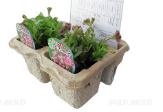 Pengoperasian yang mudah Egg Box Forming Machine / Paper Pulp Moulding Egg Tray Line Produksi