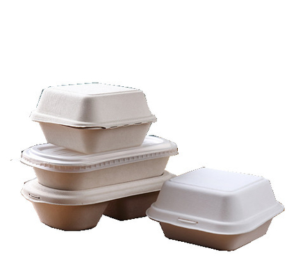 Mesin produksi perlengkapan meja kertas pulp seri YC Pulp Molded Biodegradable