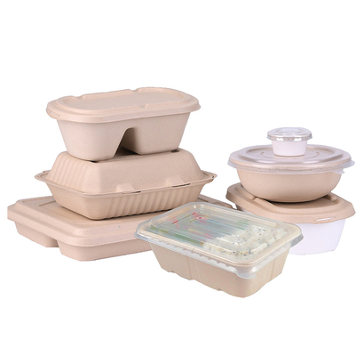 Peralatan Makan Kertas Biodegradable Membuat Mesin Produksi Fleksibel Dan Tepat