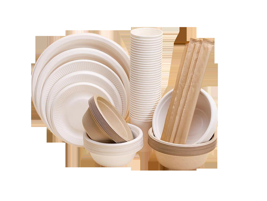 Peralatan Makan Kertas Biodegradable Membuat Mesin Produksi Fleksibel Dan Tepat