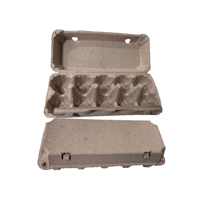 Baki Telur Reciprocating Full-auto / Mesin Pembuat Karton / Line Pengeringan 6-lapis 2400 pcs / jam