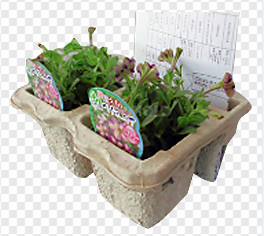 Line Produksi Reciprocating Box / Egg Tray dengan Kertas Daur Ulang 1400pcs / h