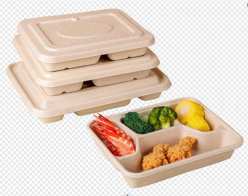 Cangkir Kertas Tebu Makanan Baki Mangkuk Peralatan Makan Membuat Mesin Kompos Dibentuk