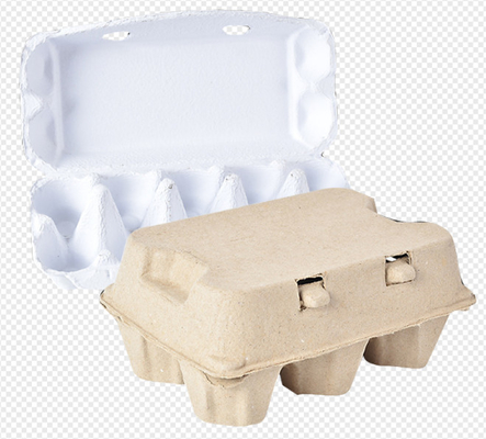 Mesin Baki Telur Moulding Pulp Otomatis dengan 6 Lapisan Garis Pengeringan 3000 pcs Per Jam