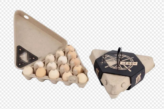 Automatic Reciprocating Molded Paper Fruit Tray / Egg Tray Line Produksi / 1000Pcs / H