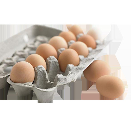 Durable Sepenuhnya Otomatis Pulp Molding Paper Egg Tray Machinery dengan CE