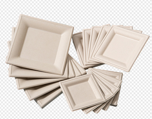 Sugarcane Disposable Membuang Peralatan Moulding Pulp Moulding Dengan PLC + Layar Sentuh + Simens