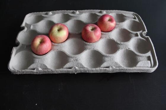 Mesin Sampah Baki Telur Kertas Kapasitas Sedang dengan Pengering