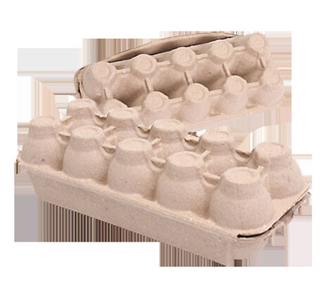 Auto Rotary Egg Tray Machine Peralatan Limbah Kertas Pulp Moulding