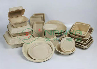 Jalur Produksi Perkakas Meja Pulp Molding di Vietnam dan India