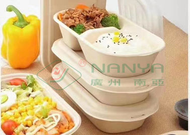 Jalur Produksi Perkakas Meja Pulp Molding di Vietnam dan India