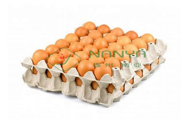 Mesin Baki Telur Pulp Molding Otomatis Penuh dengan 4000 Pcs / H