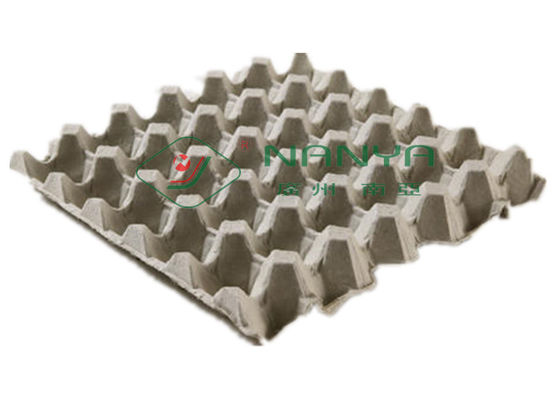 Mesin Pembuat Baki / Baki Telur Rotary Otomatis Penuh Dengan Siemens
