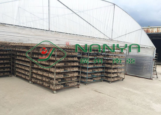 Mesin Baki Pulp Kapasitas Tinggi, Lini Produksi Pulp Baki Telur 3000 Pcs / H