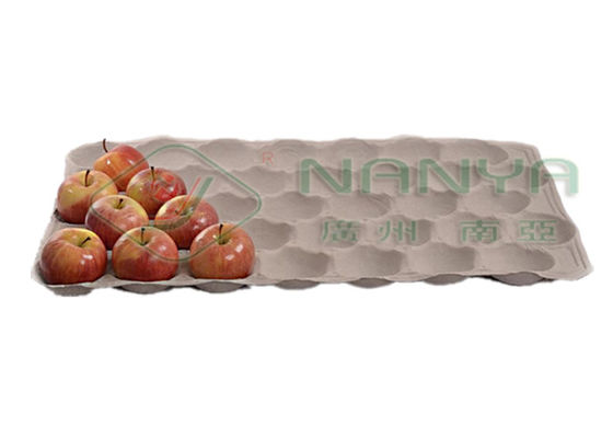 Auto Reciprocating Egg Tray / Mesin Karton Telur Molding Pulp 1000pcs / H.