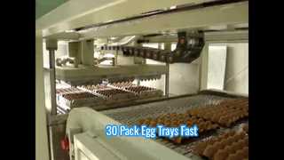 Mesin Cetak Pulp Otomatis Kecil untuk Baki Telur/ Mesin Baki Telur Kecil/ Mesin Baki Telur 30 Kemasan