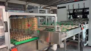 Mesin Pembuat Karton Telur Sepenuhnya Otomatis / Baki Telur Produksi Massal / Mesin Pembuat Karton
