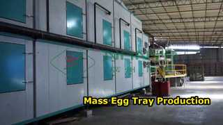 Mesin Pembuat Baki Telur Sepenuhnya Otomatis/ Baki Telur Produksi Massal/ Mesin Pembuat Karton