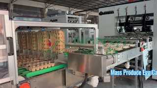 Mesin Pembuat Karton Telur Sepenuhnya Otomatis / Baki Telur Produksi Massal / Mesin Pembuat Karton
